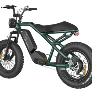 RAEV Bullet V1 Electric Bicycle
