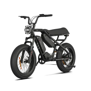 RAEV Bullet X /XF V2 Electric Bicycle