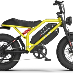 RAEV Bullet GT V2 Electric Bicycle