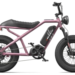 RAEV Bullet V2 Electric Bicycle
